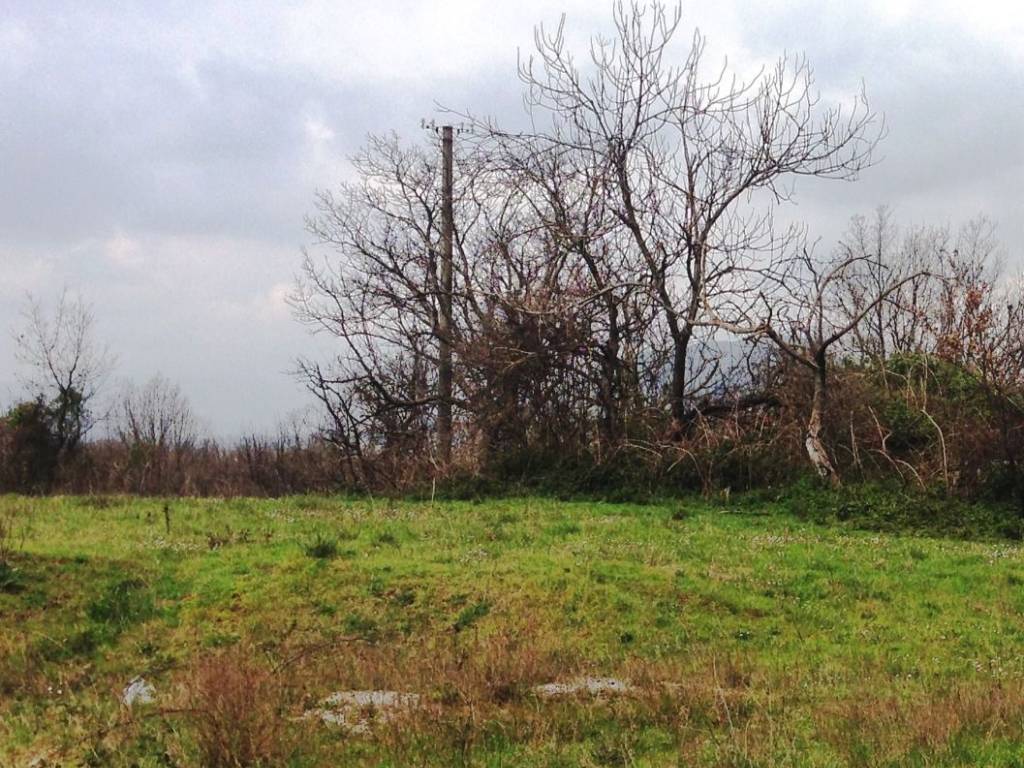 Terreno a Mignano monte lungo - Foto 5