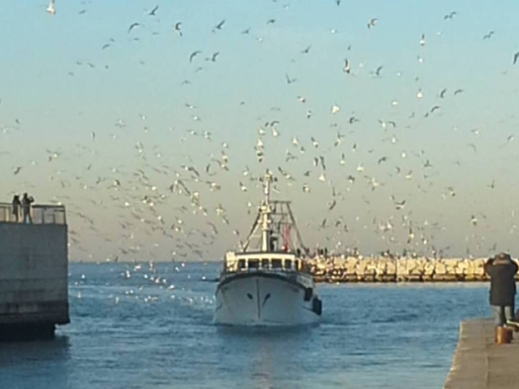 Immobile a Rimini in Viale Dardanelli, 74 - Foto 3