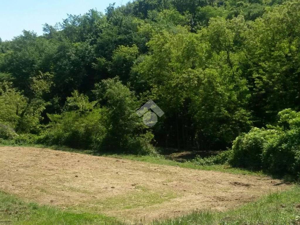 Terreno a Teolo in via farnea - Foto 5