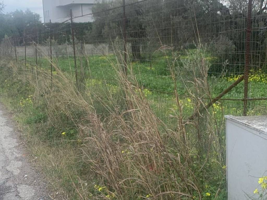 Terreno a Ardore in Vicolo Schiavo, 1 - Foto 2
