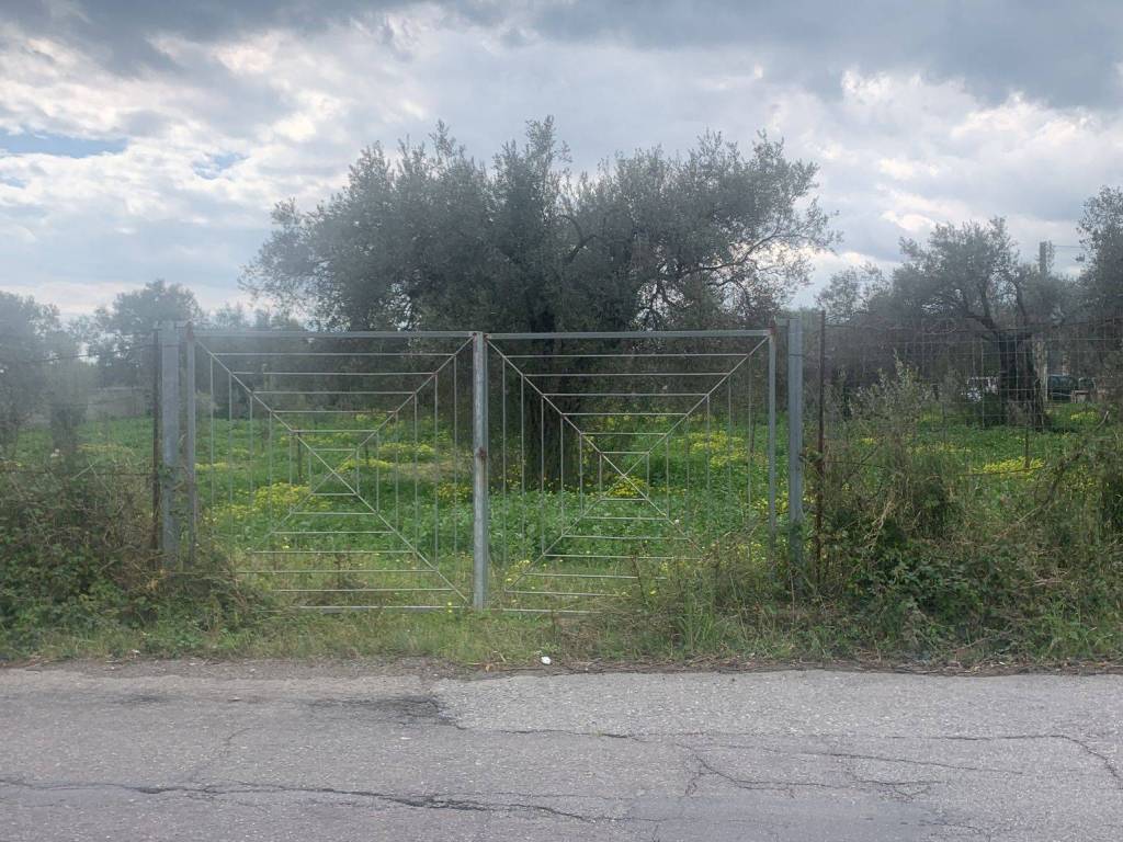Terreno a Ardore in Vicolo Schiavo, 1 - Foto 3