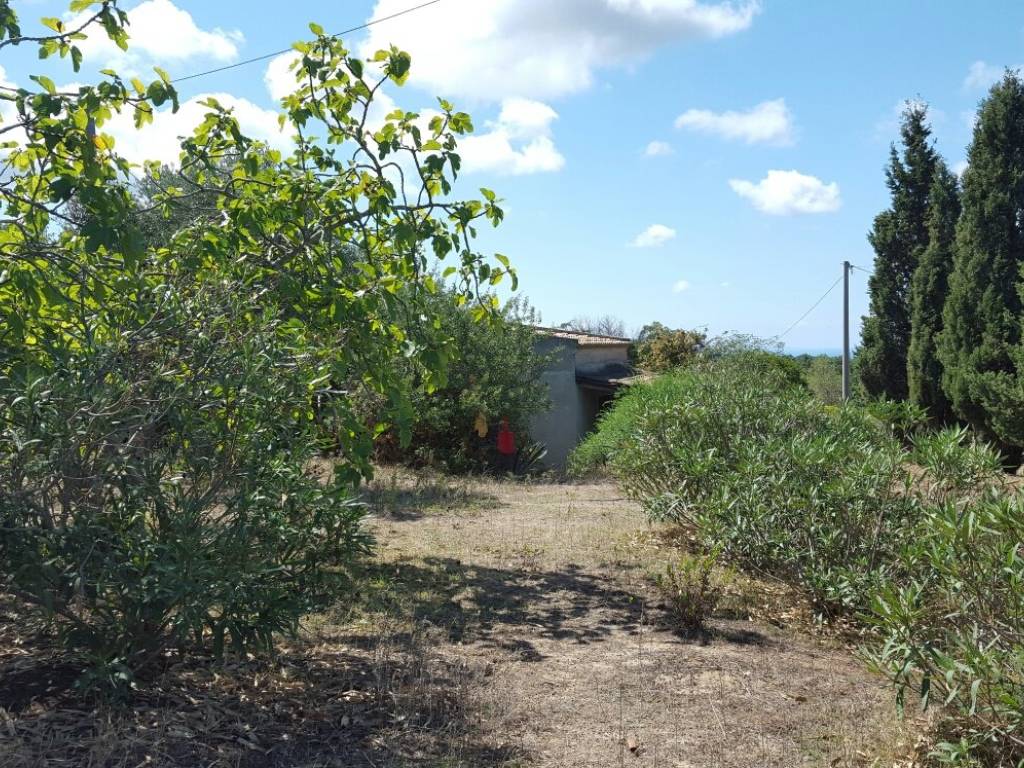 Villa a Ricadi in Via Roma - Foto 3