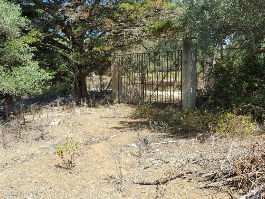 Villa a Ricadi in Via Roma - Foto 5