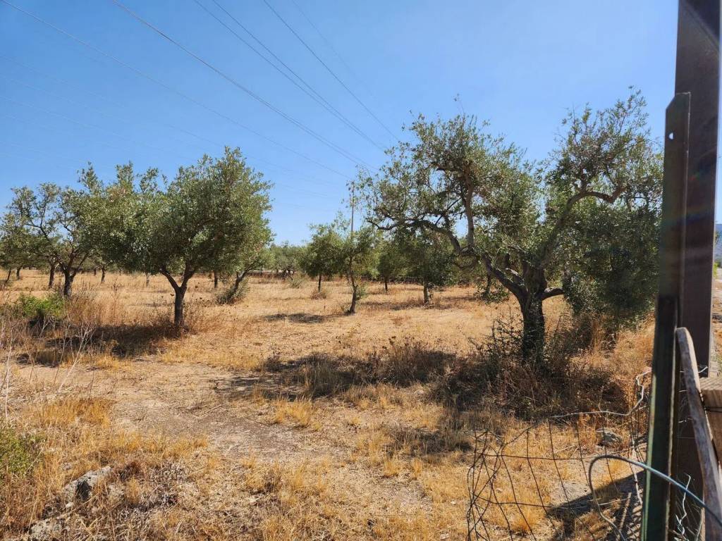 Terreno a Priolo gargallo in Contrada Mostringiano S.N.C. - Foto 4