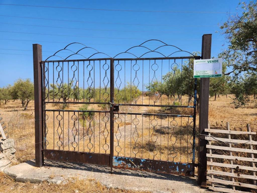 Terreno a Priolo gargallo in Contrada Mostringiano S.N.C. - Foto 5