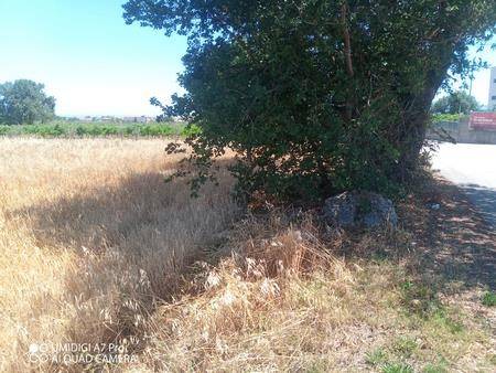 Terreno a Lanciano - Foto 5