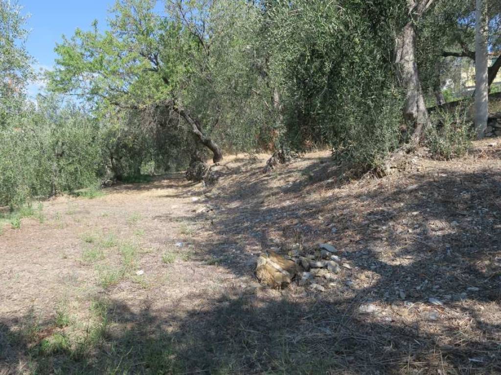 Terreno a San bartolomeo al mare in Via Chiappa - Foto 2