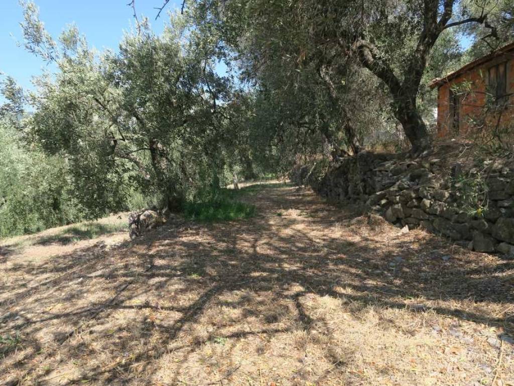 Terreno a San bartolomeo al mare in Via Chiappa - Foto 3