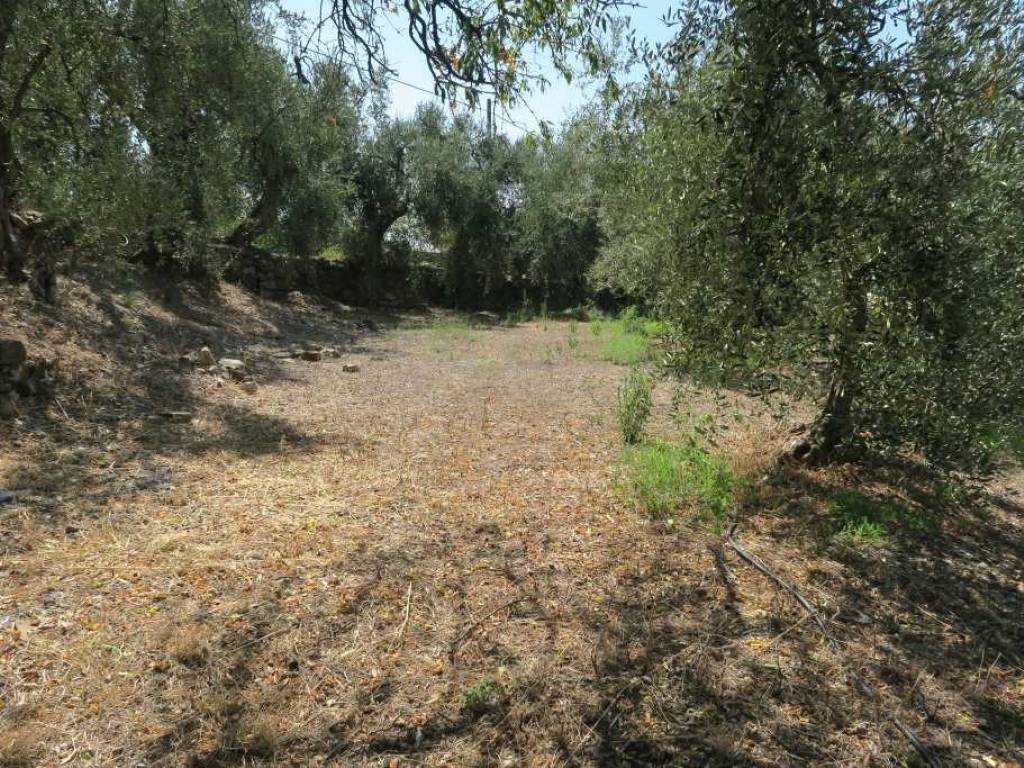 Terreno a San bartolomeo al mare in Via Chiappa - Foto 4