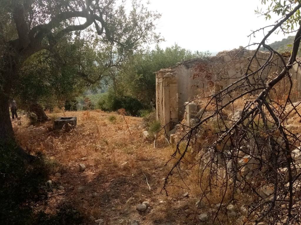 Terreno a Noto in Contrada Renna - Foto 3