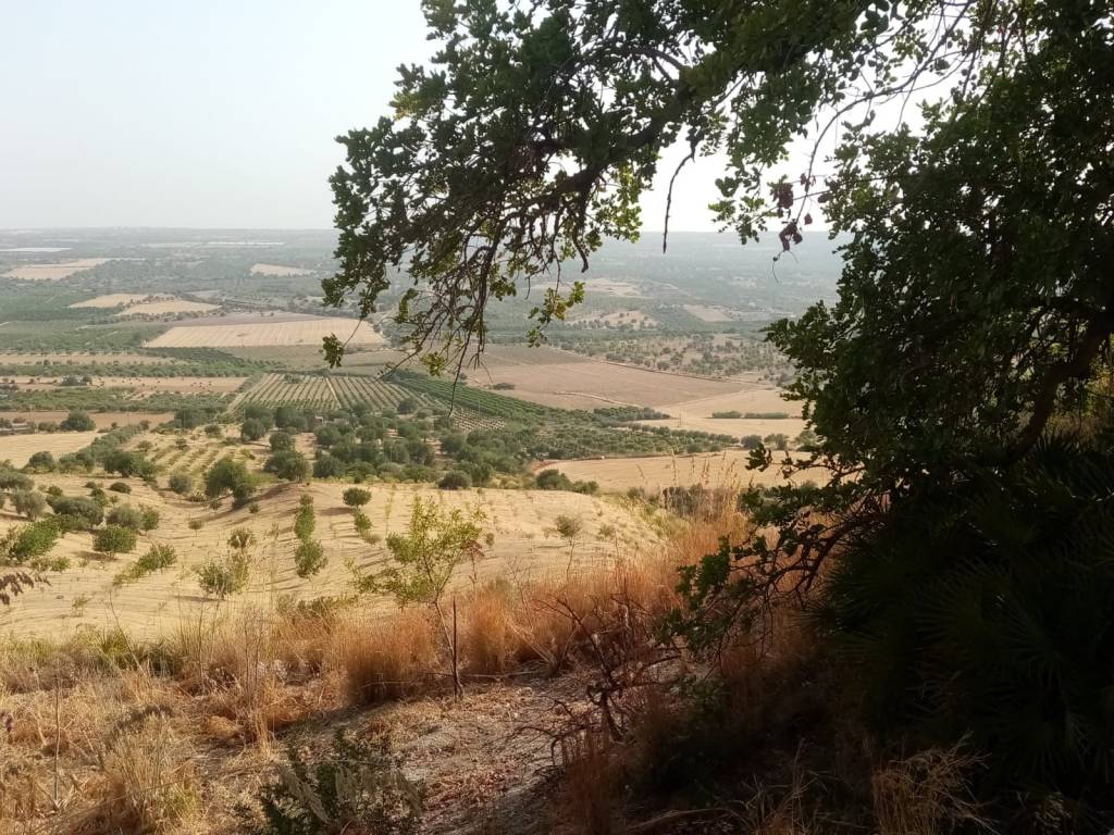 Terreno a Noto in Contrada Renna - Foto 4