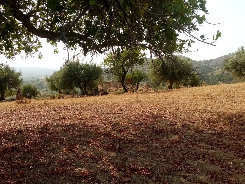 Terreno a Noto in Contrada Renna - Foto 5