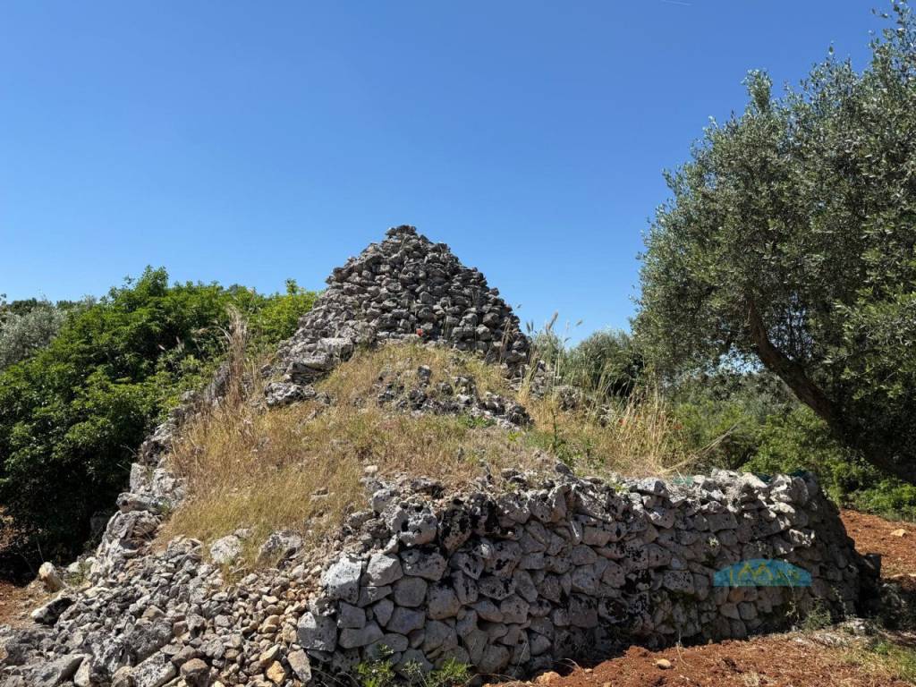 Rustico / casale a Ceglie messapica in Contrada Vriscigliulo - Foto 2