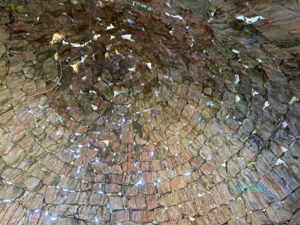Rustico / casale a Ceglie messapica in Contrada Vriscigliulo - Foto 3