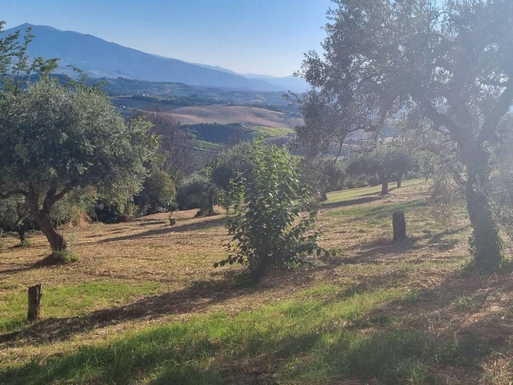 Terreno a Monteprandone in Via Borgo da Monte - Foto 2