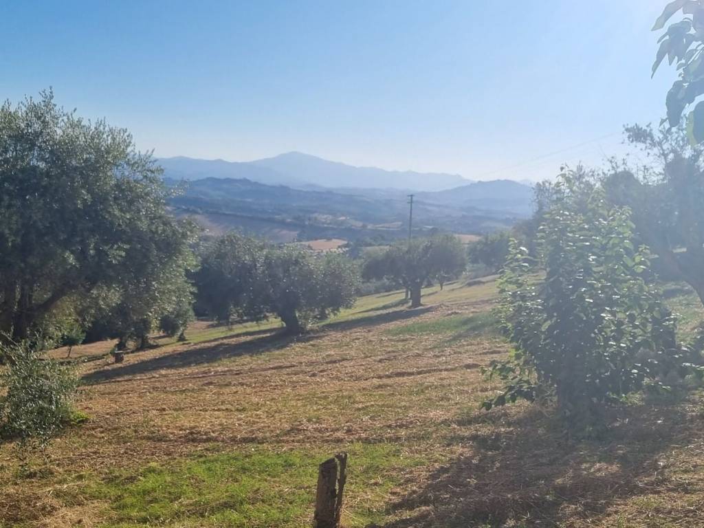 Terreno a Monteprandone in Via Borgo da Monte - Foto 3