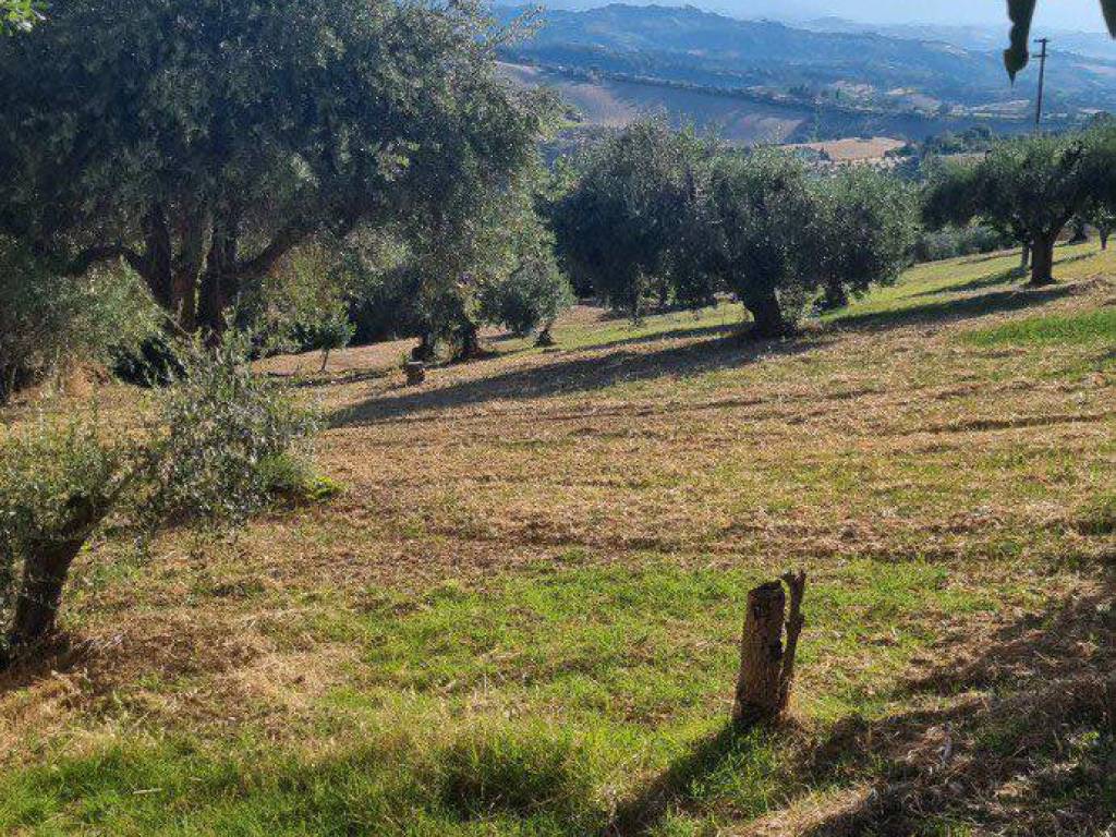 Terreno a Monteprandone in Via Borgo da Monte - Foto 4