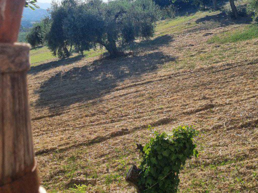 Terreno a Monteprandone in Via Borgo da Monte - Foto 5