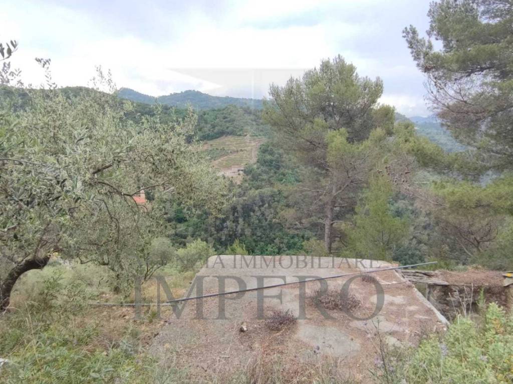 Terreno a Ventimiglia in Frazione Verrandi - Foto 3