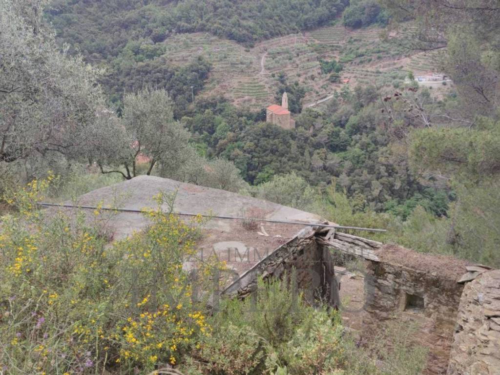 Terreno a Ventimiglia in Frazione Verrandi - Foto 5