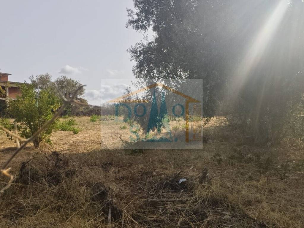 Terreno a Siniscola - Foto 2