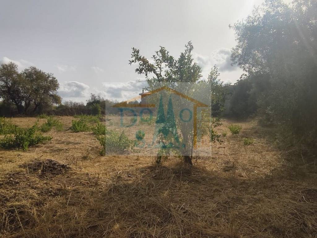 Terreno a Siniscola - Foto 3