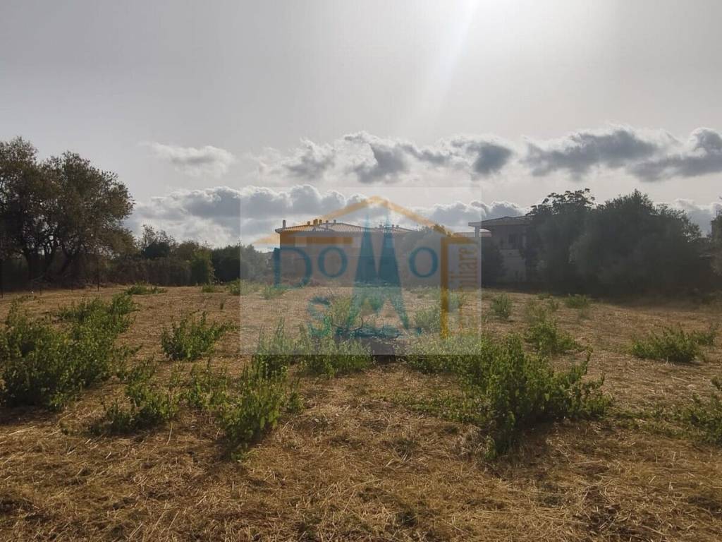 Terreno a Siniscola - Foto 4