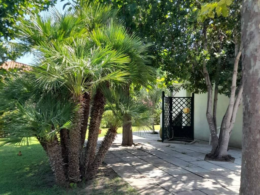 Villetta a schiera a Bernalda - Foto 4