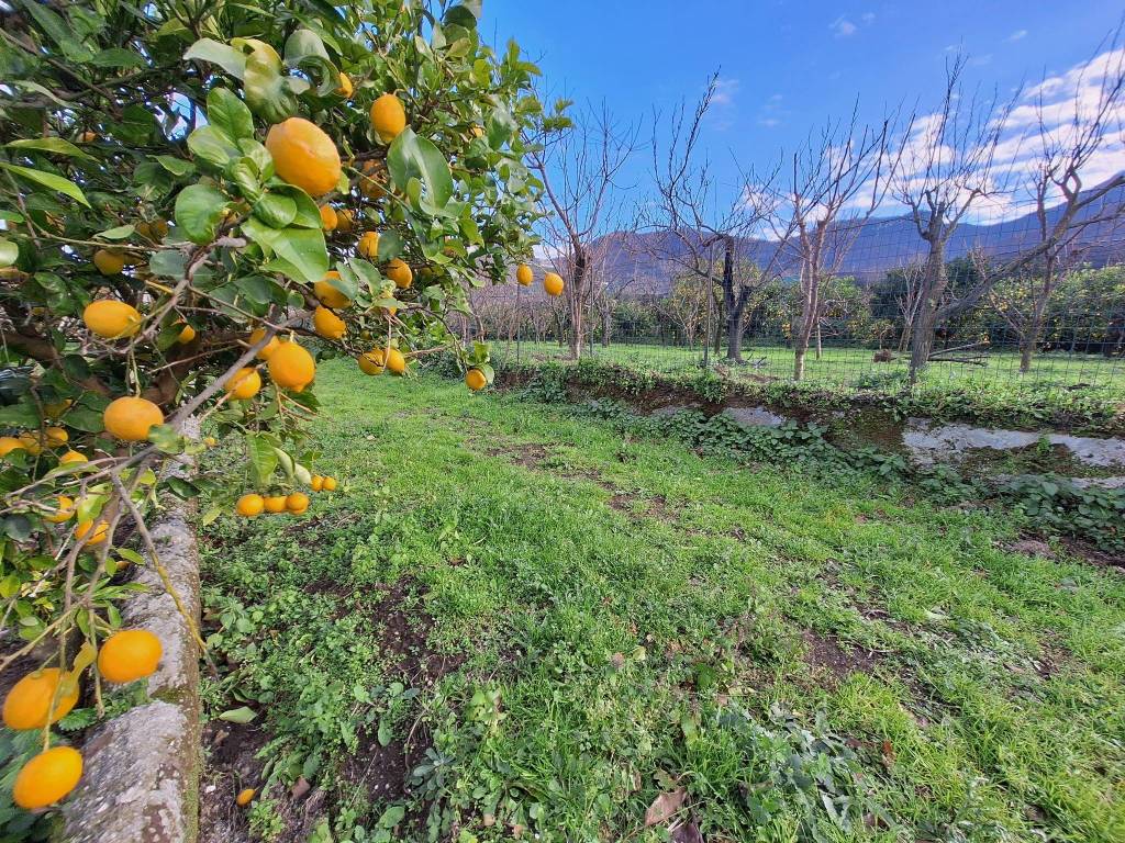 Terreno a Sant'egidio del monte albino in Via Catello Troiano - Foto 2
