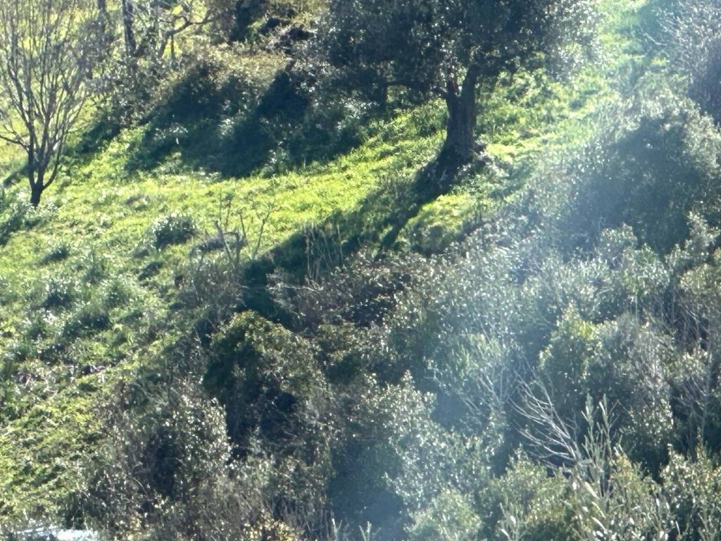 Villa a Cicerale in Contrada Defeselle - Foto 5