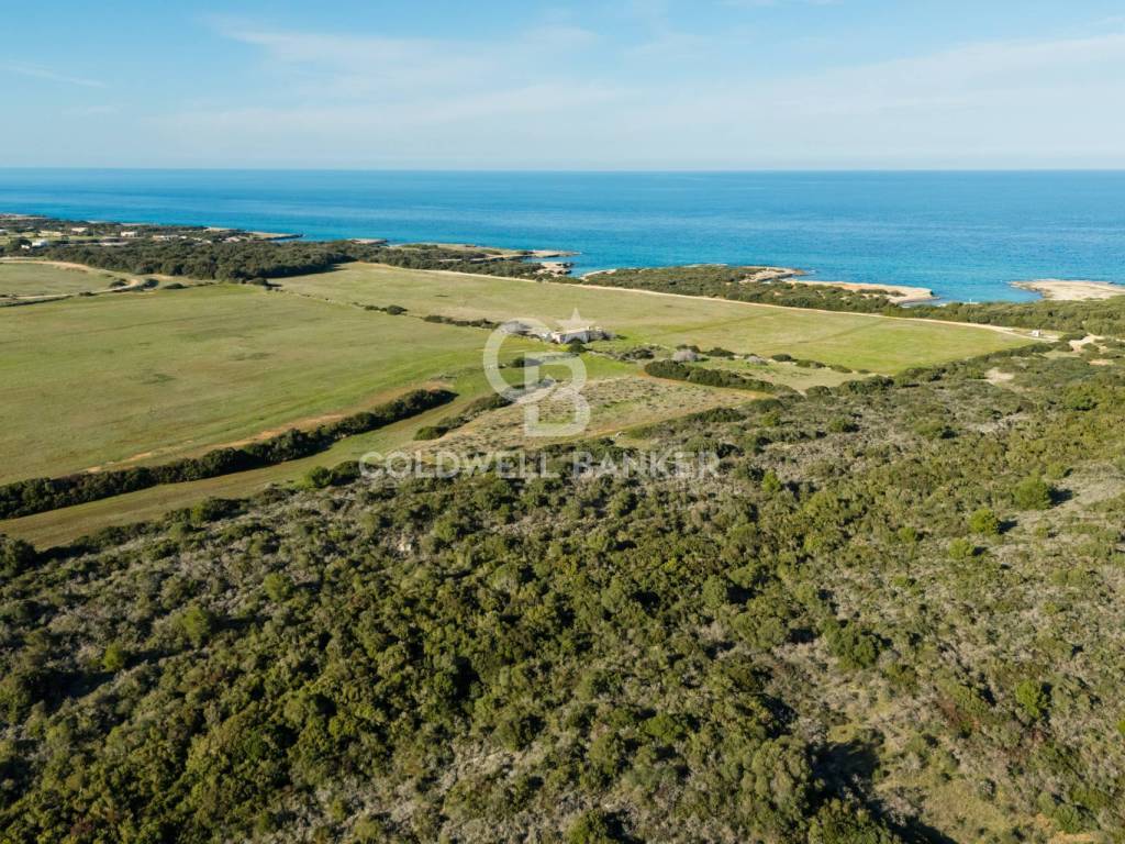 Terreno a Ostuni in Contrada Boezio/Refrigerio - Foto 4