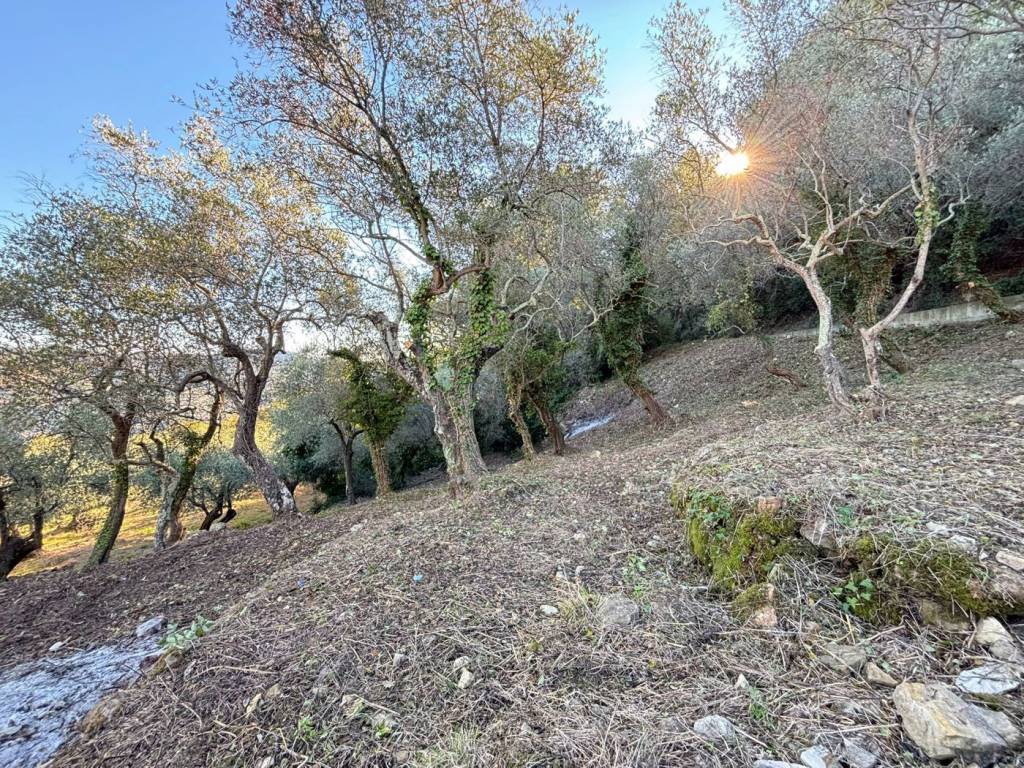 Terreno a Imperia in Borgo Sant' Agata - Foto 2