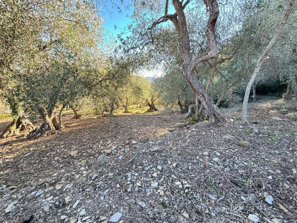 Terreno a Imperia in Borgo Sant' Agata - Foto 3