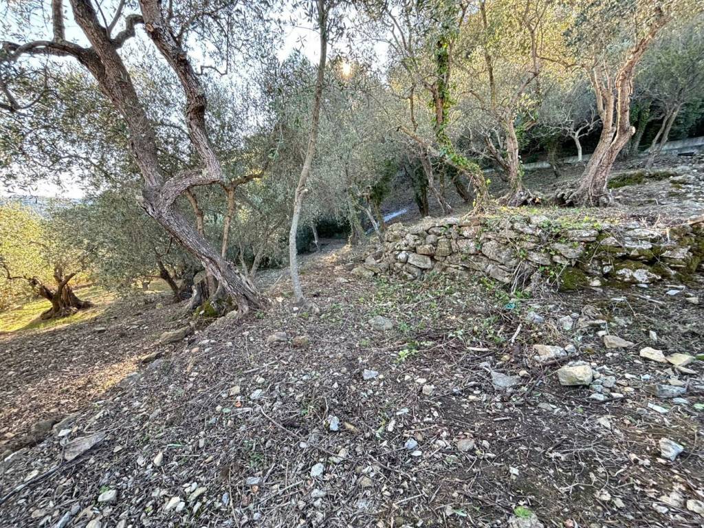 Terreno a Imperia in Borgo Sant' Agata - Foto 4
