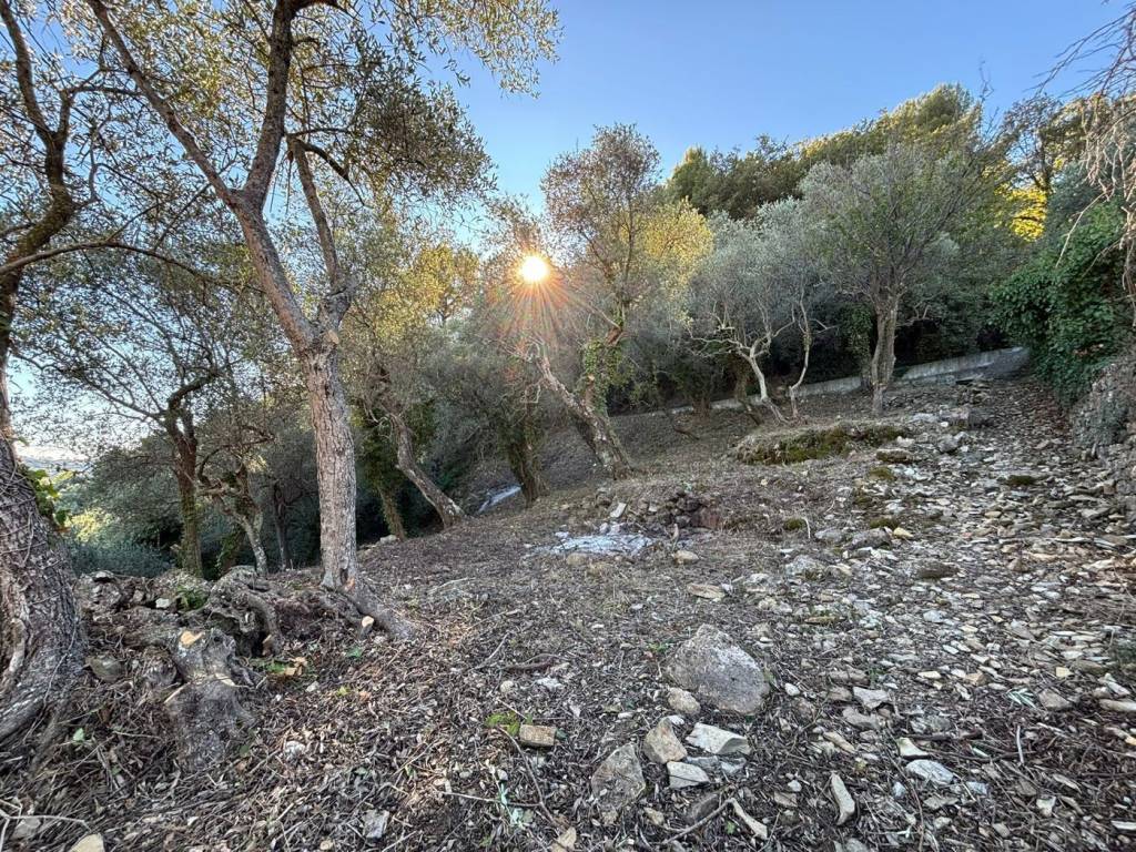 Terreno a Imperia in Borgo Sant' Agata - Foto 5