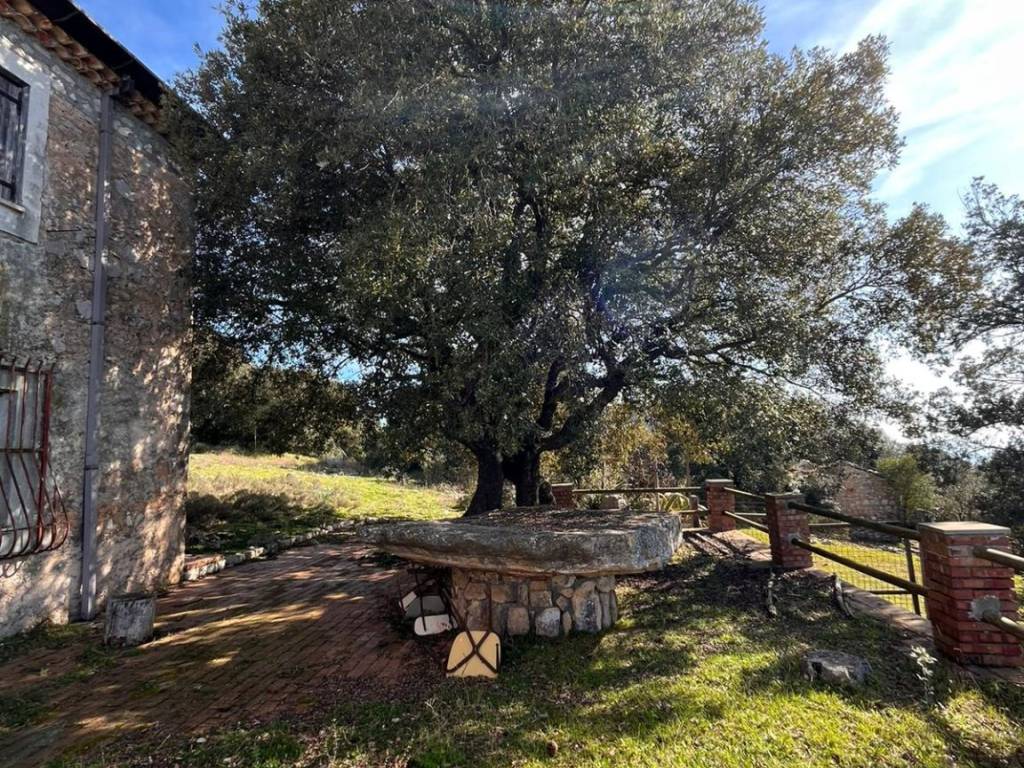 Rustico / casale a Sonnino in Via Cavallo Bianco - Foto 5