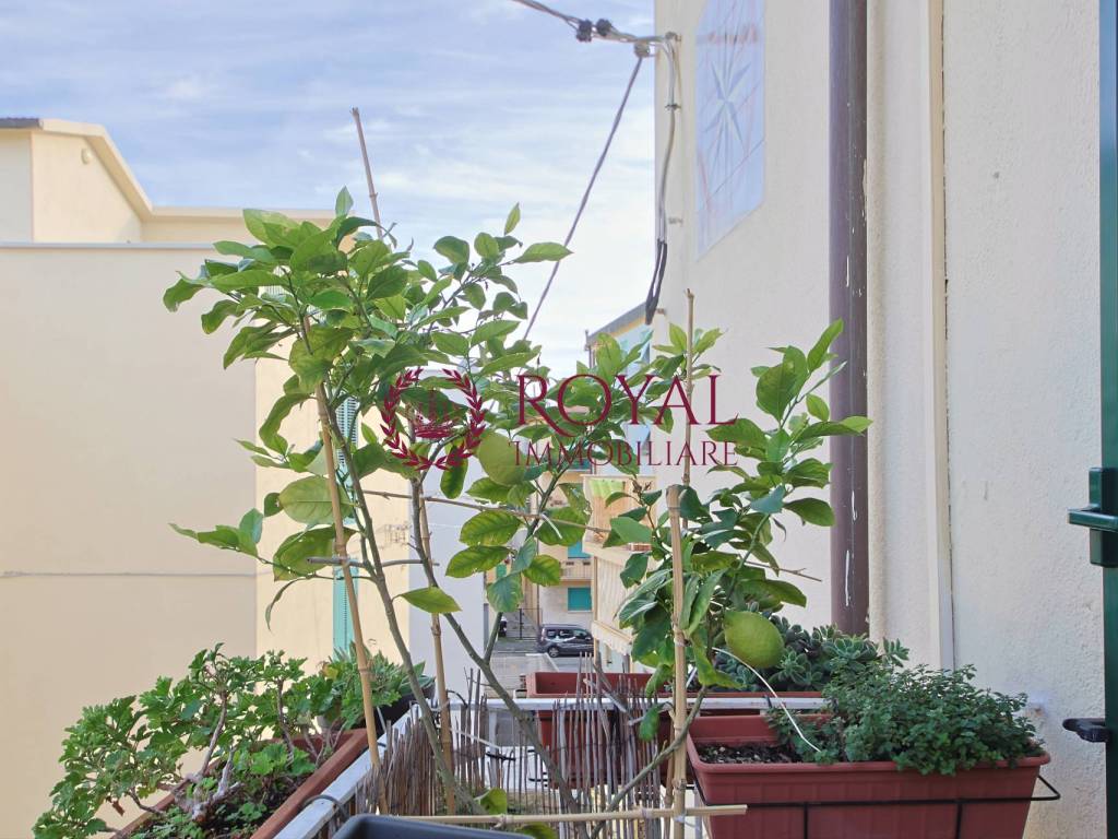 Appartamento a Livorno in vua guerrazzi - Foto 5