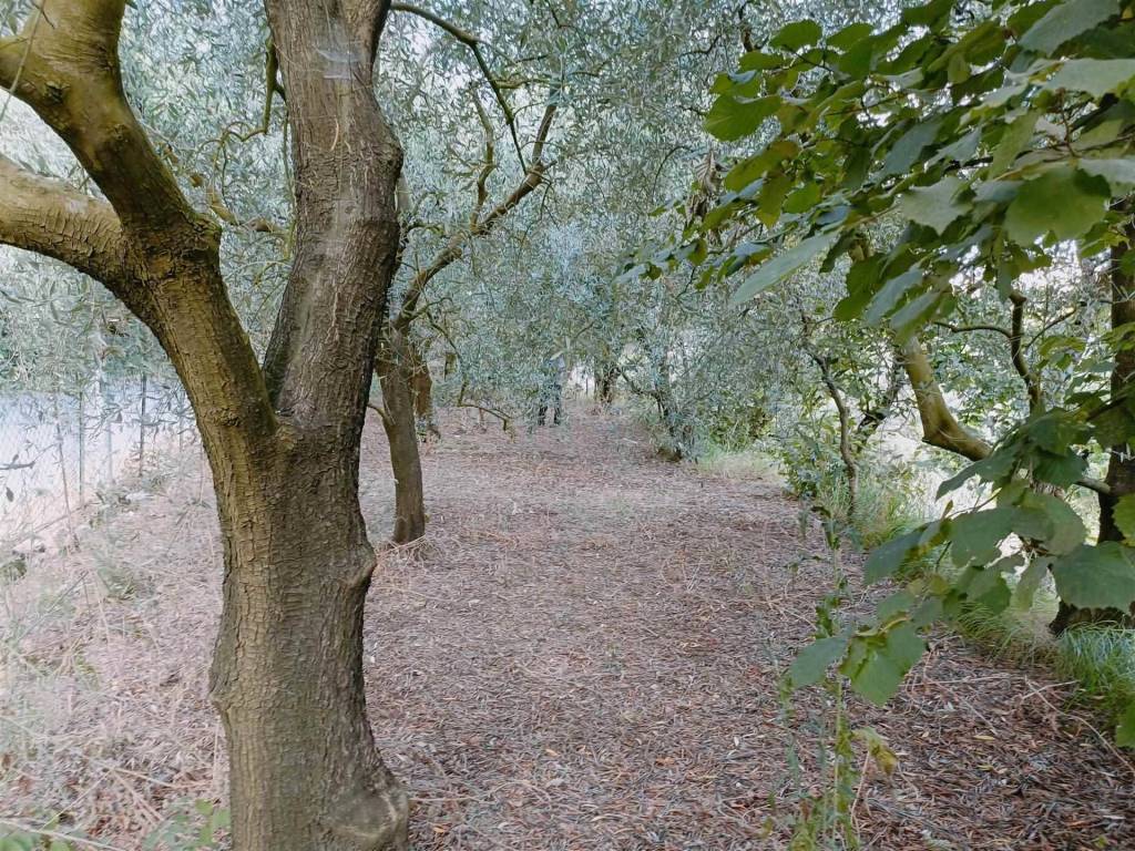 Terreno a Salerno - Foto 2