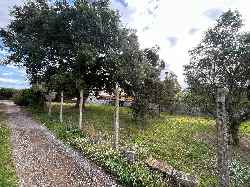Terreno a Nettuno in Via Carpineto Romano - Foto 2