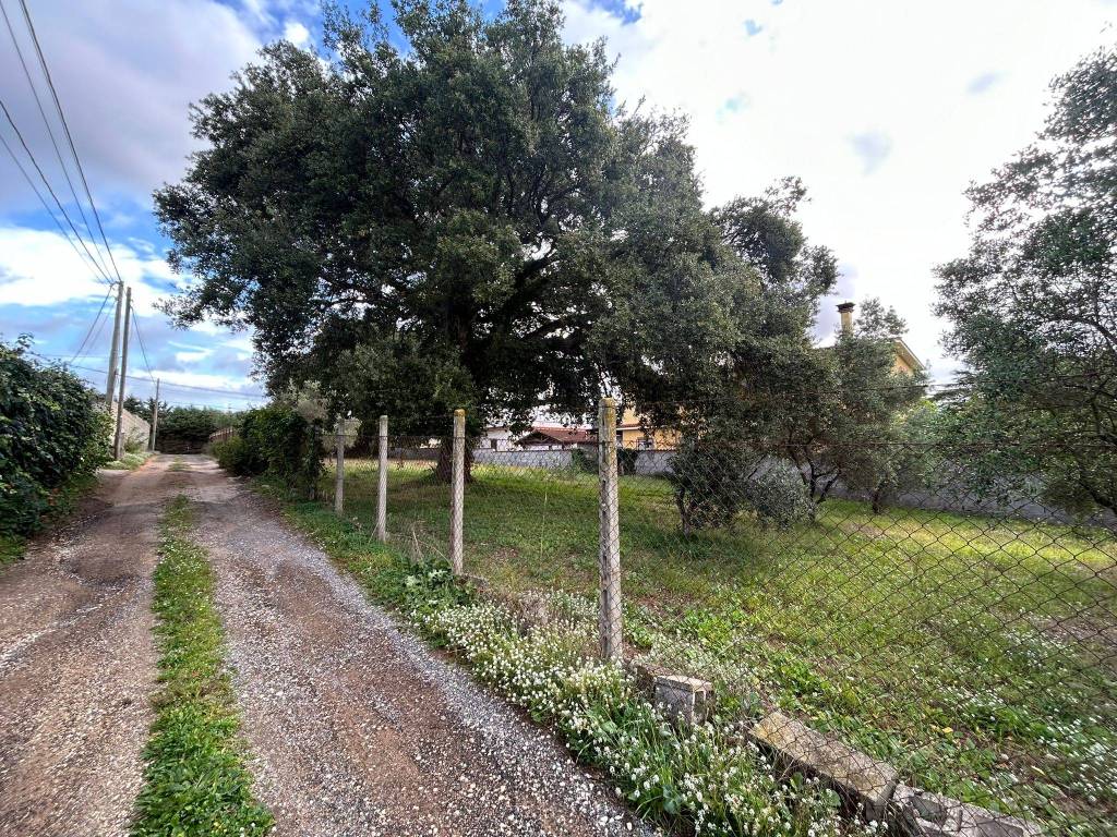Terreno a Nettuno in Via Carpineto Romano - Foto 3