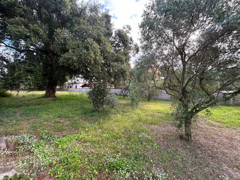 Terreno a Nettuno in Via Carpineto Romano - Foto 4