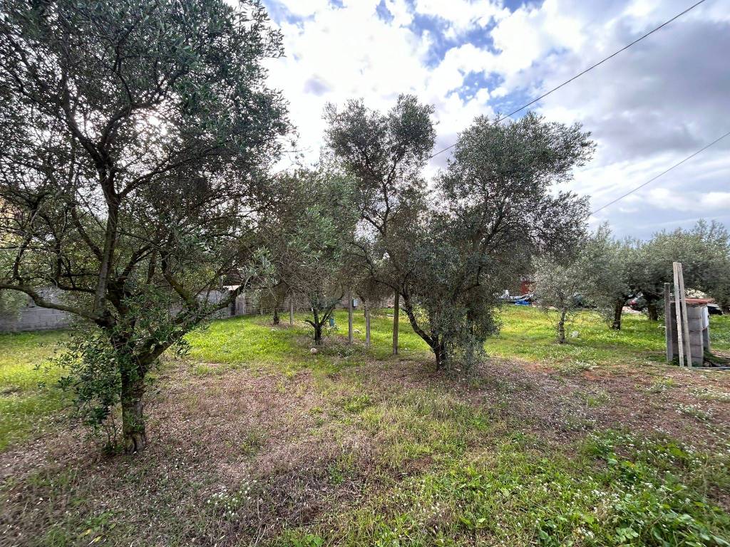Terreno a Nettuno in Via Carpineto Romano - Foto 5