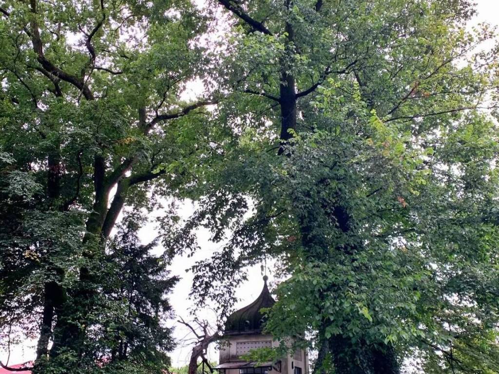 Villa a Varese in Via Andrea Palladio, 10 - Foto 4