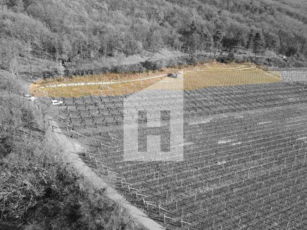 Terreno a Caldaro sulla strada del vino - Foto 2