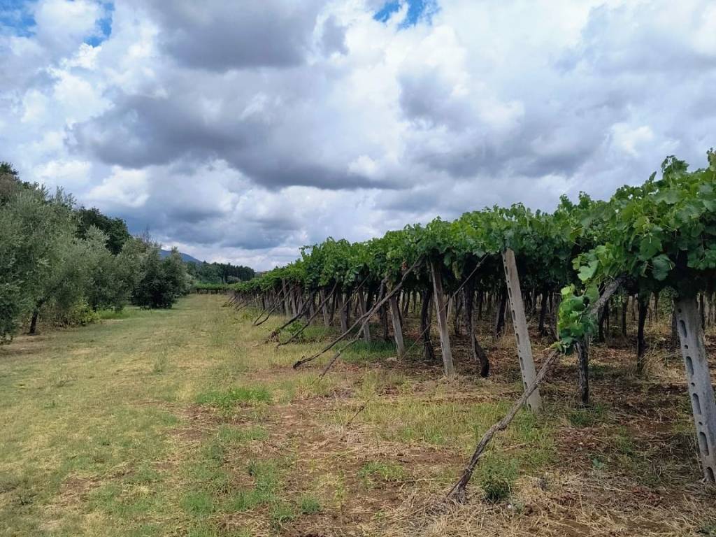 Terreno a Lanuvio in Via Fontana Parata - Foto 4