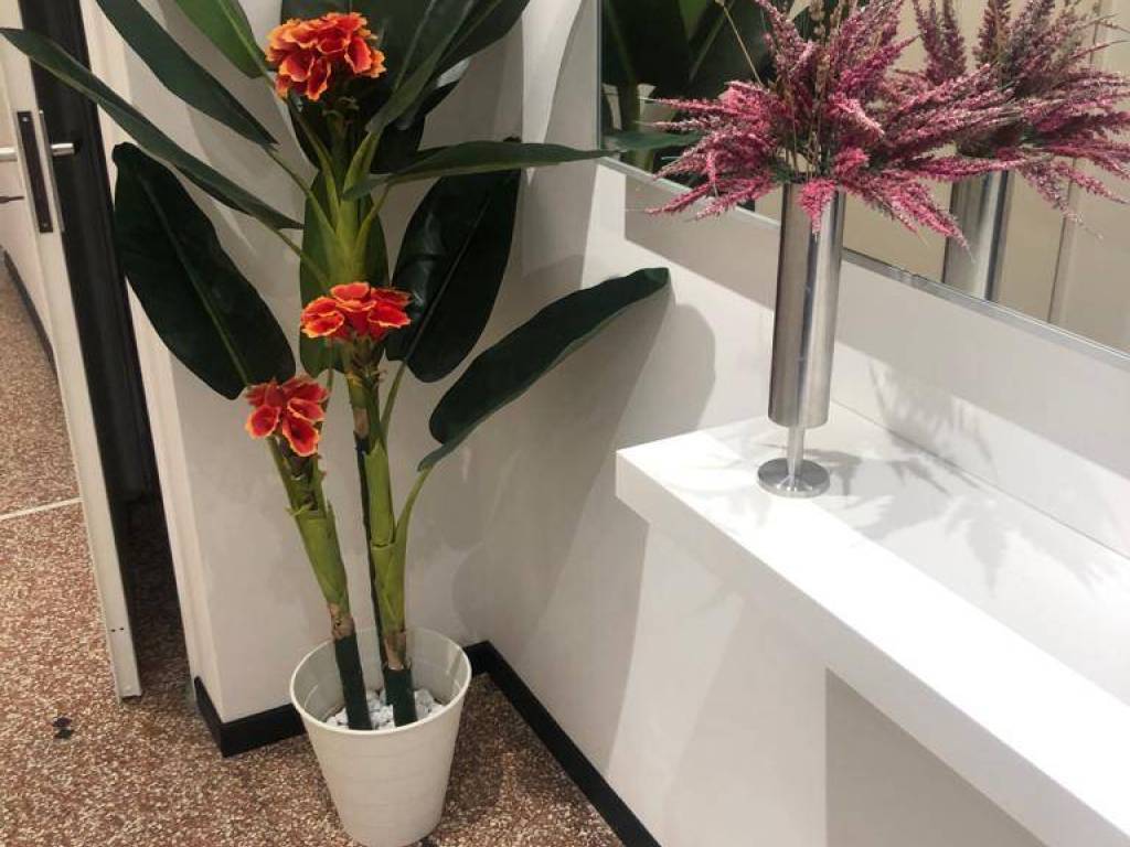 Appartamento a Varazze - Foto 5