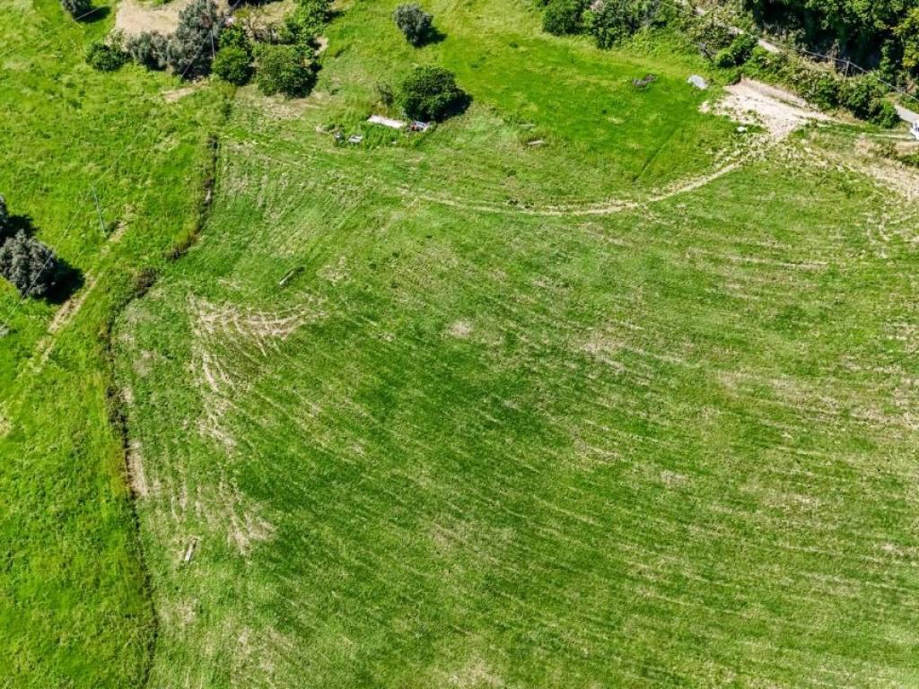 Terreno a Fano in Località Sant'Andrea, 100 - Foto 4