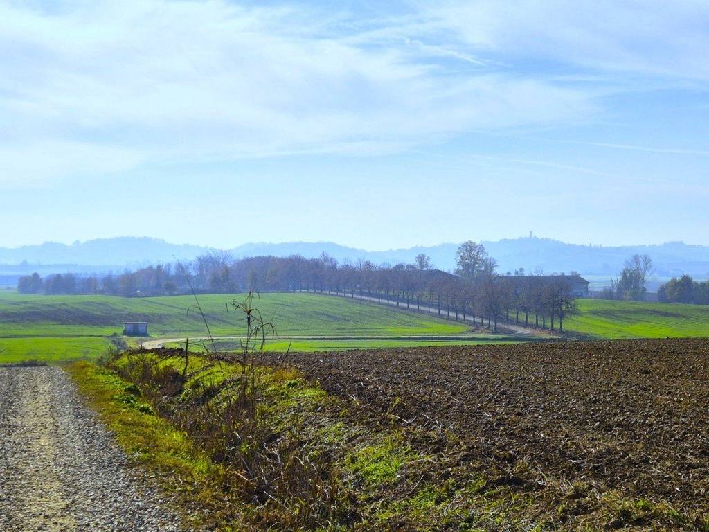Immobile a San salvatore monferrato in Località Vo - Foto 2