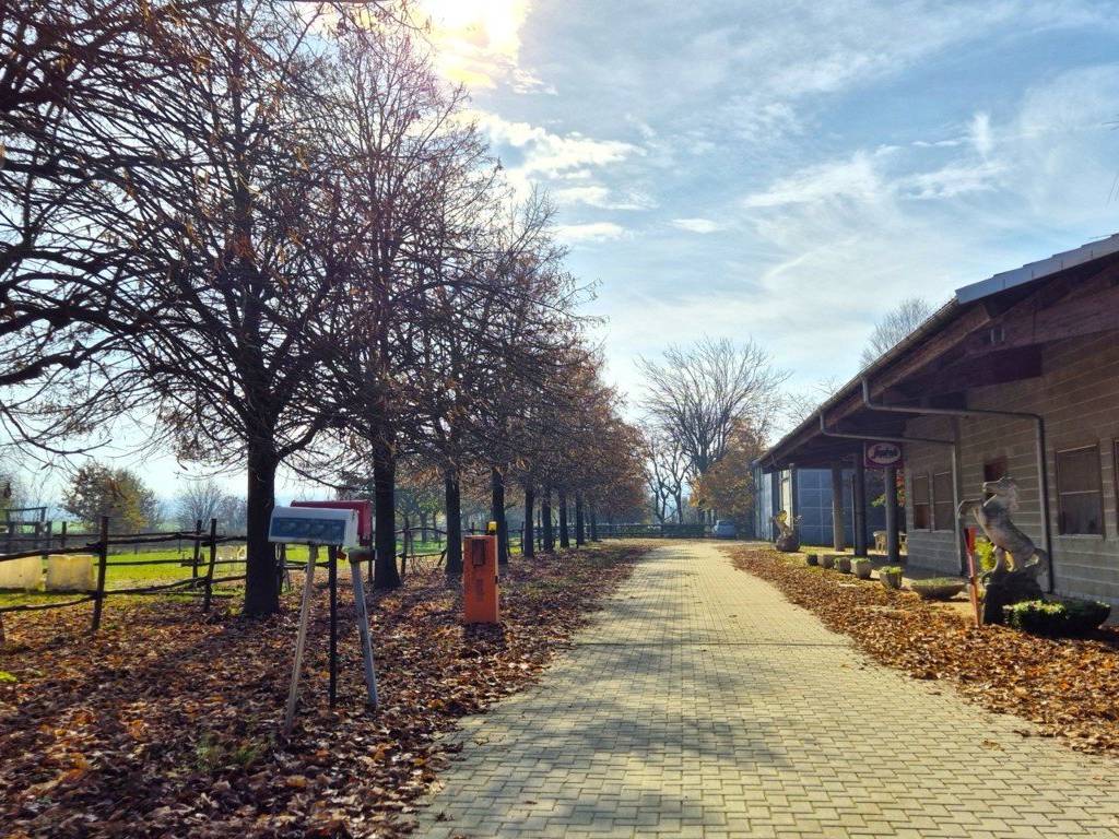 Immobile a San salvatore monferrato in Località Vo - Foto 3