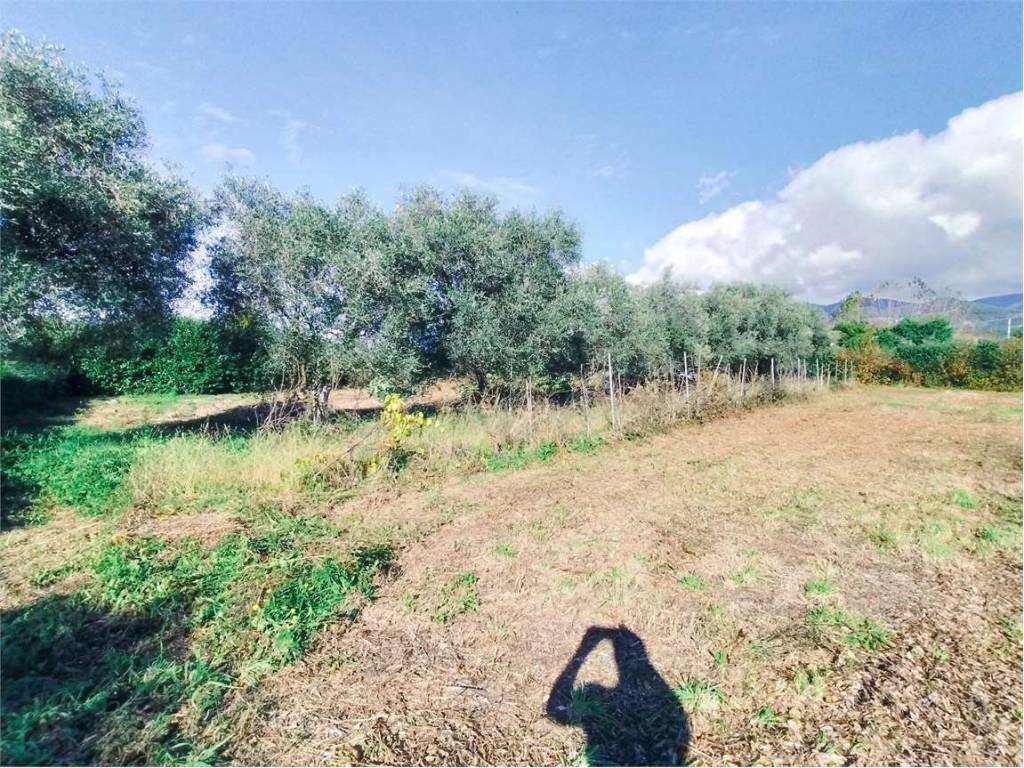 Terreno a Luni - Foto 3